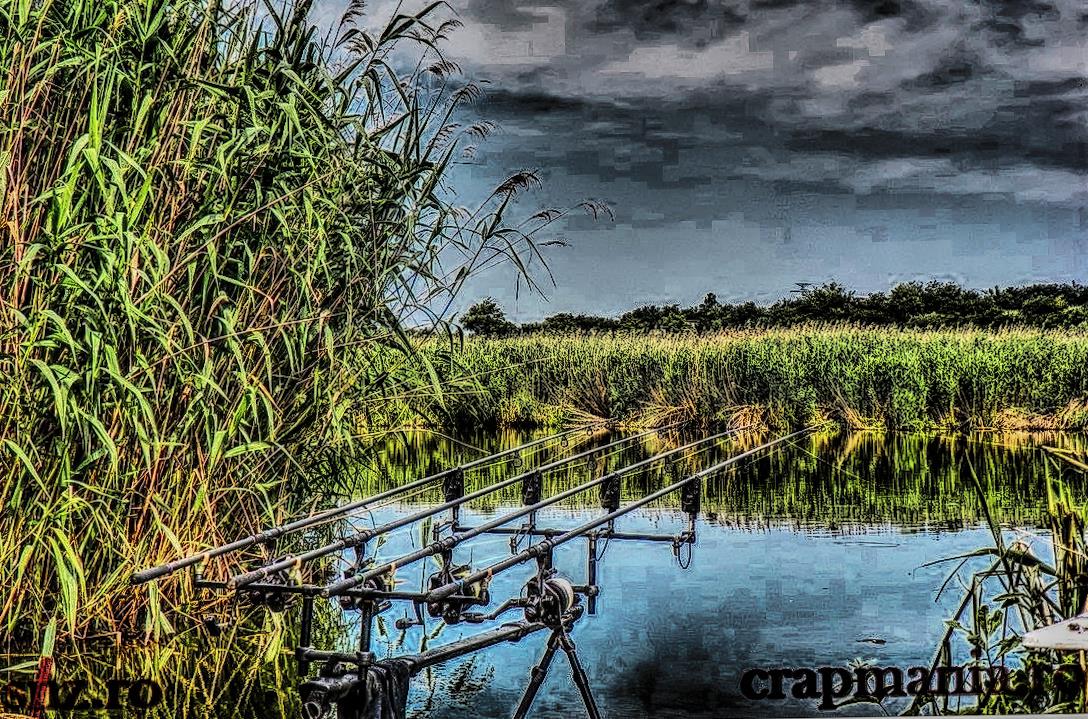 Senior Trophy - 2013 - 1012014hdrmode1.jpg